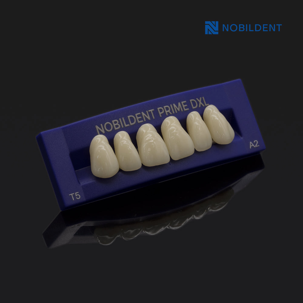 Nobildent Prime DXL Artificial Denture Teeth Posteriors 33°