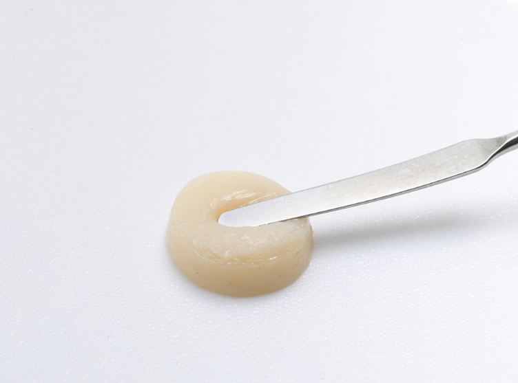 TrusFIL Universal Composite Restorative
