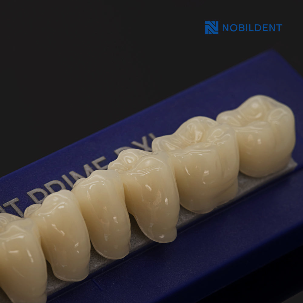 Nobildent Prime DXL Artificial Denture Teeth Posteriors 0°, 10° and 20°