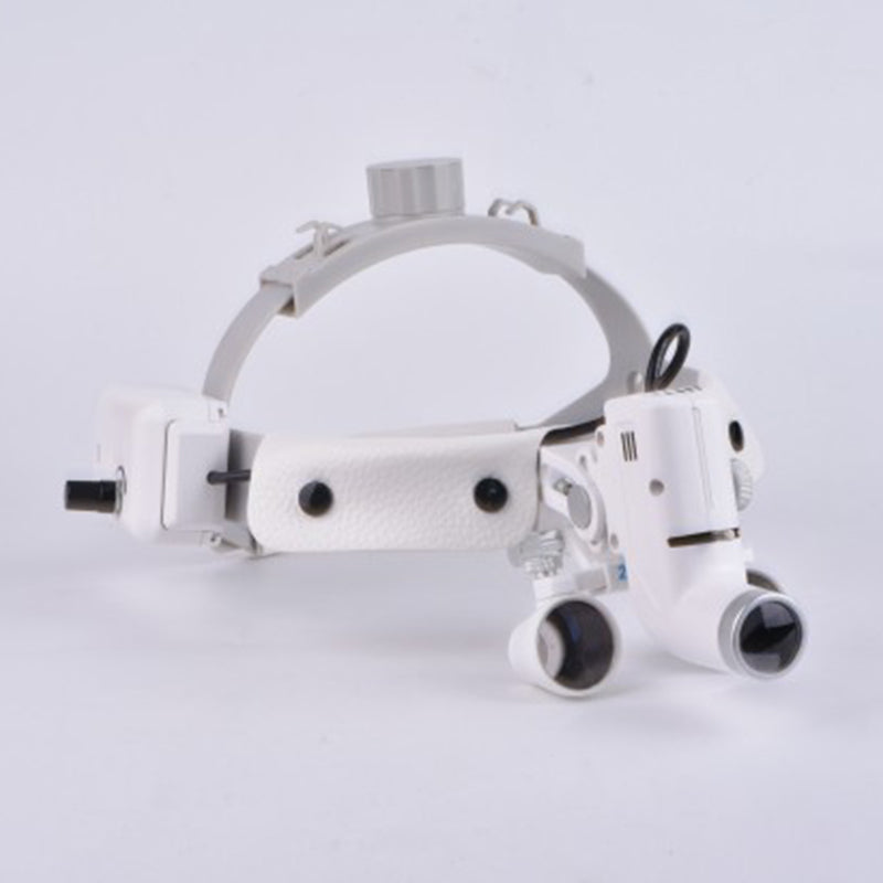 surgical loupe and head light